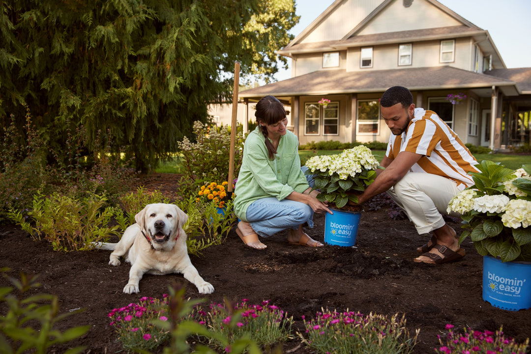 Pet-Friendly Gardening