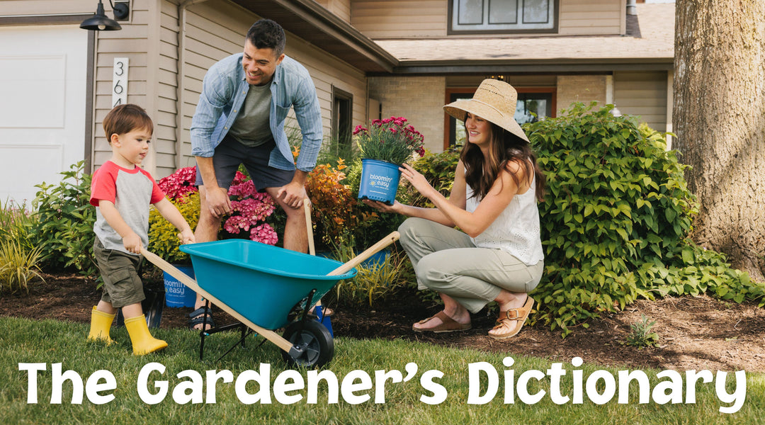 The Gardener's Dictionary