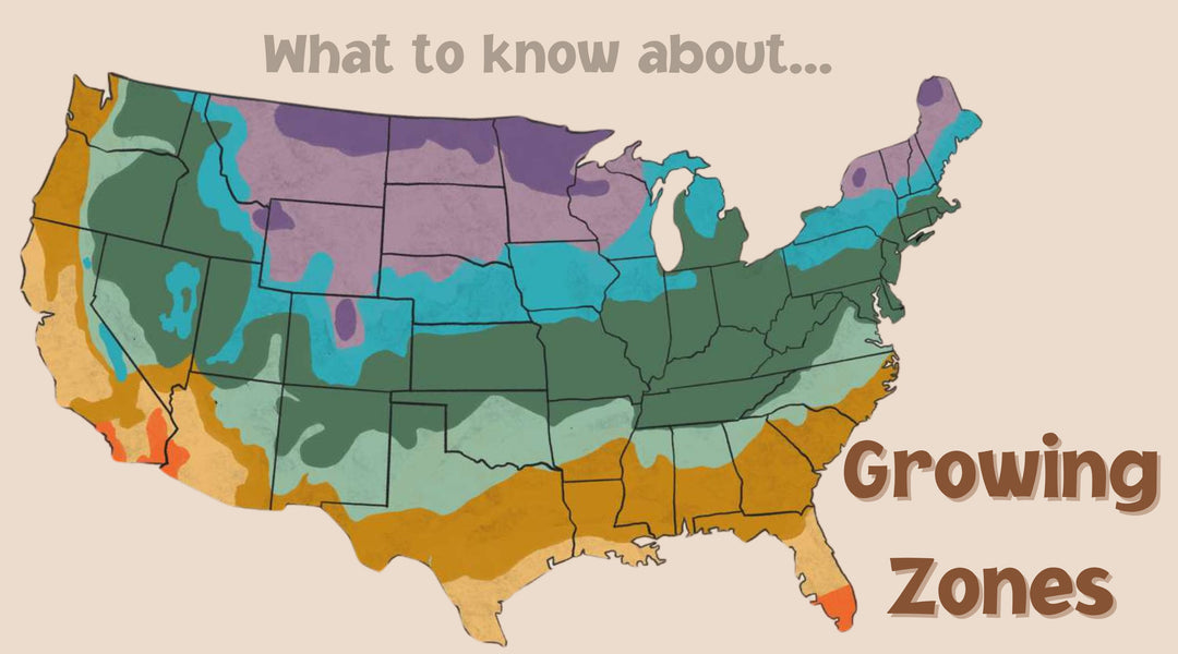 Growing/ Hardiness Zones