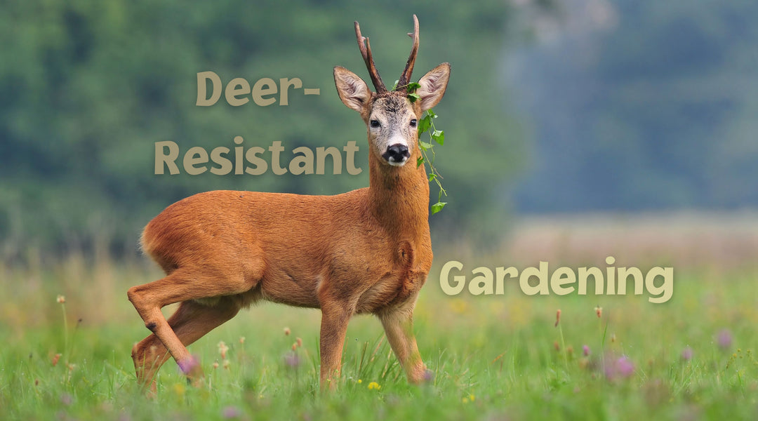 Deer-Resistant Gardening