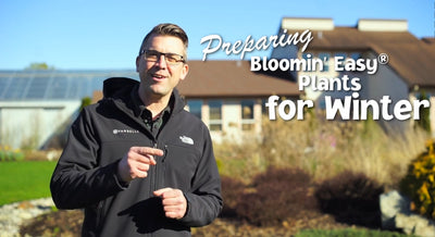 How to Prepare your Bloomin' Easy® Plants for Winter