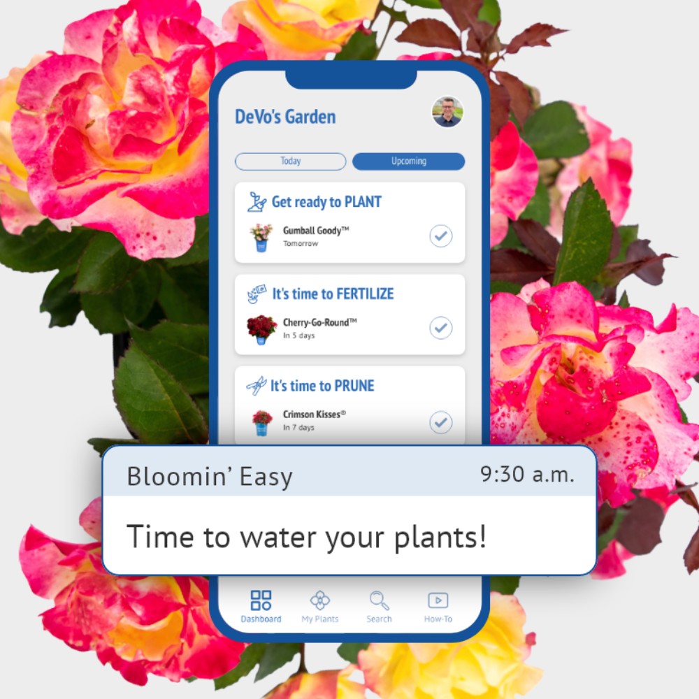 Bloomin' Easy Care Reminders+ App – Bloomin' Easy Plants