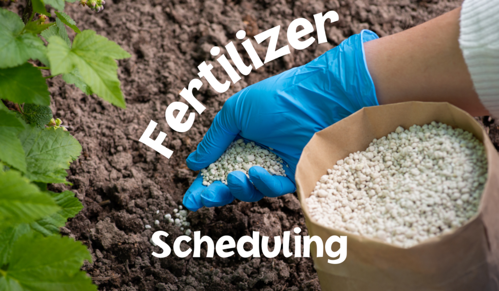 a gloved hand adding fertilizer to the soil