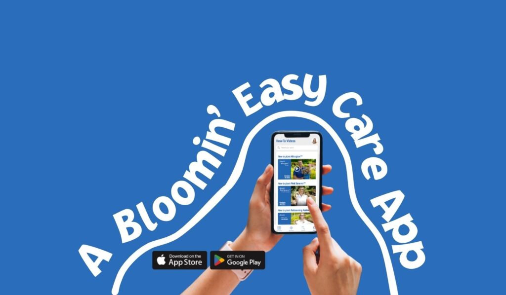 Plant care app on smartphone screen