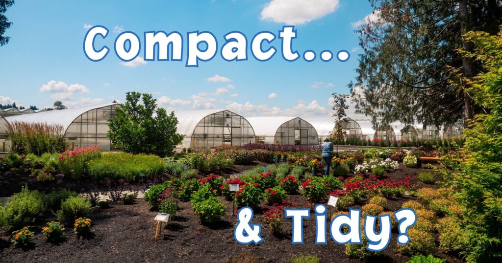 Compact & Tidy blog