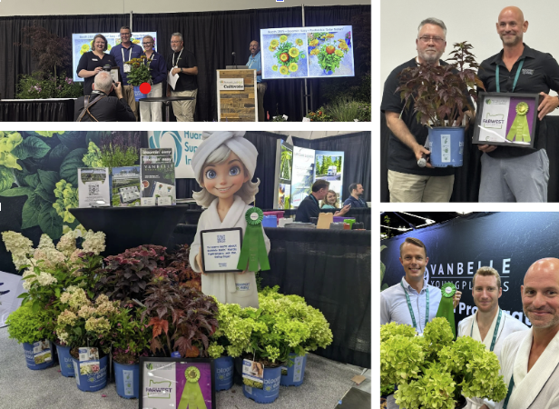 Plant exhibit showcasing award-winning horticulture products.