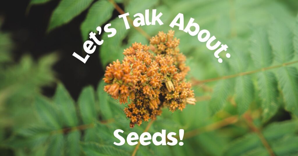 Let's Talk About Seeds!