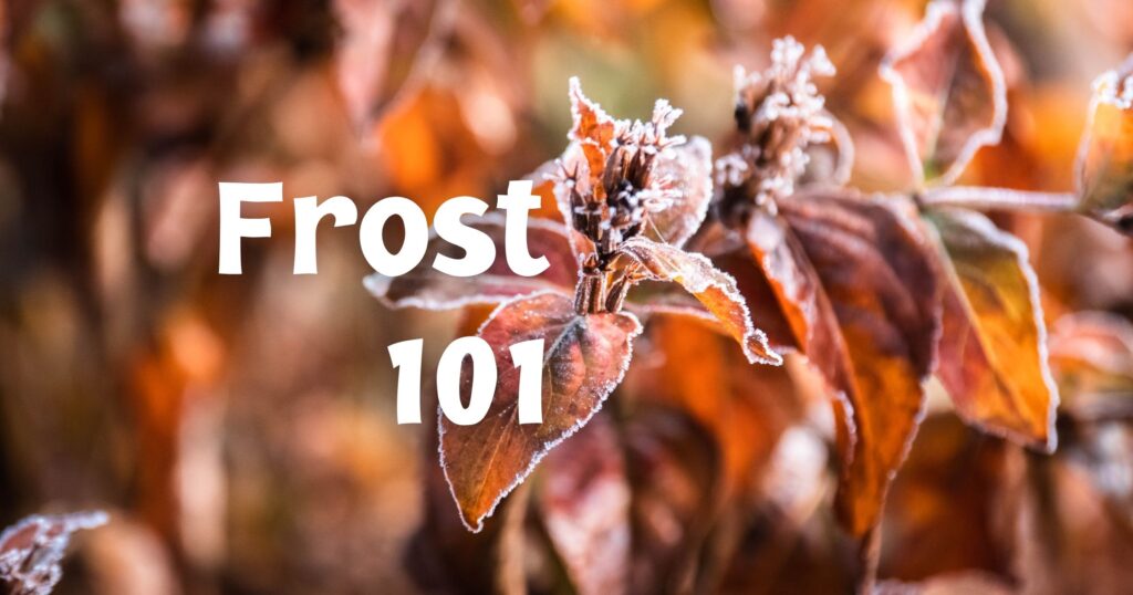 Frost 101