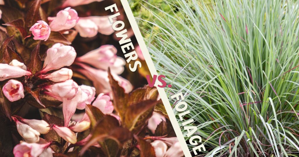 foliage v flowers