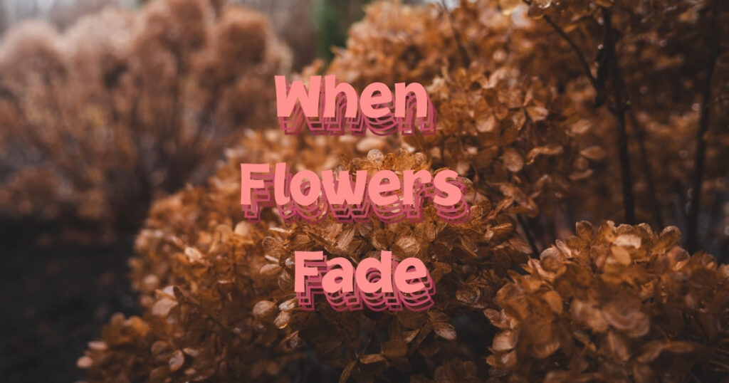 When Flowers Fade